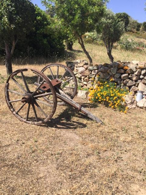Domo De Enas Bed and Breakfast Buitenkant foto